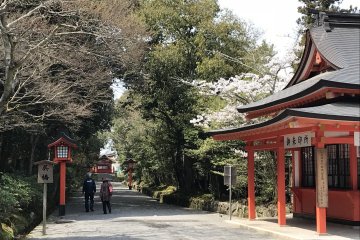 Whether you are five or eighty five, a gentle stroll in springtime is a thing of beauty