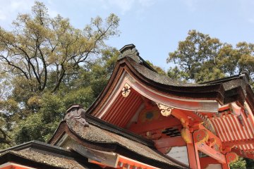 Exquisite architecture at the grand shrine of Usa