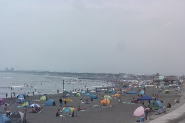 Kuganuma Beach in all its glory