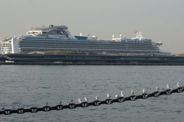 Yokohama Osanbashi Port Guide