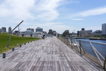Viewing Deck