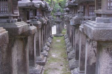 The rows of lanterns are really impressive!