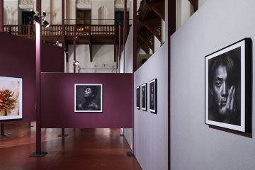 Kyotographie 2019 Report