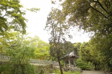 Along the way