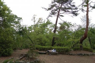 Peace in the park