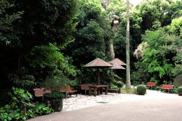 A pretty corner for a rest break