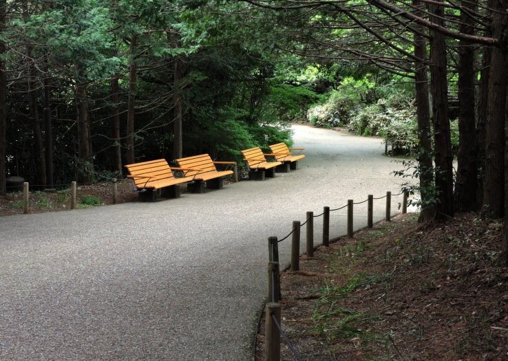 Wide paths and plenty of seats along the way