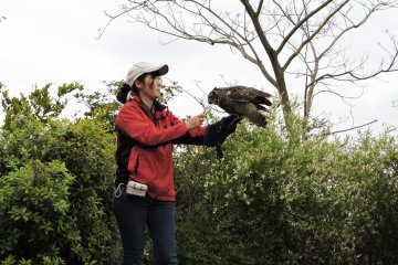 The bird show was fantastic!
