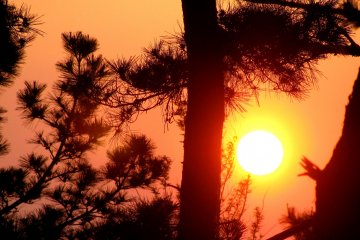 Nature: the Soul of Japan
