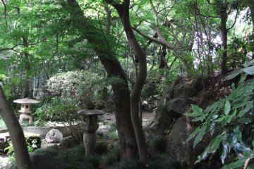 Todoroki-Valley