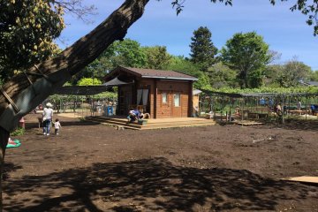 Nerima Children's Forest (Kodomonomori)