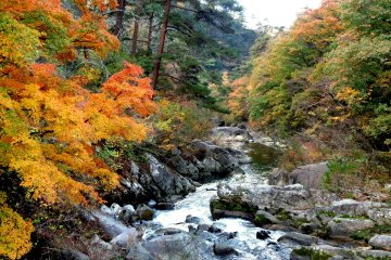 The Arakawa River