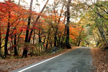 The road