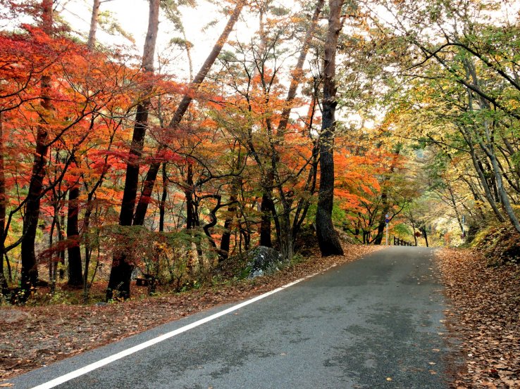 The road