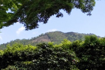 Egad! Is This Kyoto? 