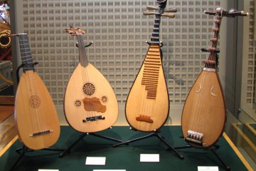 Different types of biwa