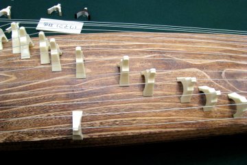 Koto close-up