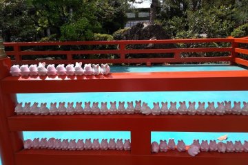 A Cycle of Life In Kyoto   