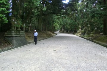 Kasuga jinja
