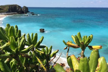 Okinawa's Northern Coast