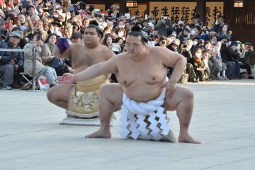 Special Exhibition: The 72nd Yokozuna Kisenosato 2019