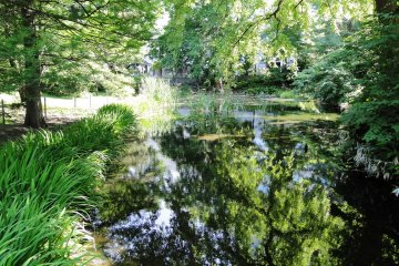 <p>Appr&eacute;ciez une promenade &agrave; travers le superbe jardin botanique de Sapporo</p>
