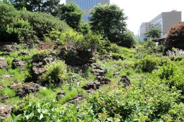 <p>Le jardin de rocaille</p>
