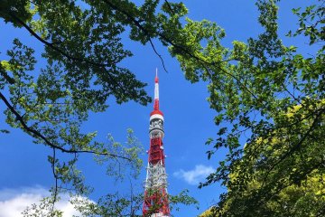 Tokyo Tower peeking out from behind the greenery