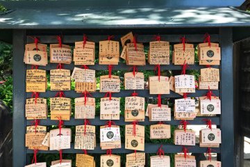 Ema on display 