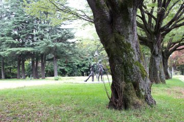 Old trees of Higashi Park