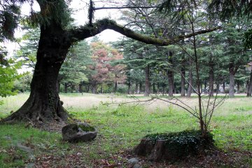 Higashi Park