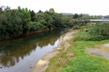 The green shore of the Hirose River