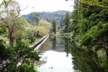 Greenery along the Hirose River