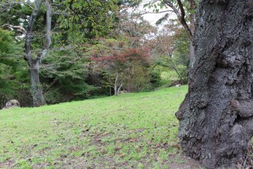 Aoba Park