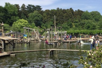 Try the zip line over the pond
