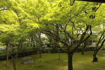 Kyoto’s Temple of Genuine Paradise
