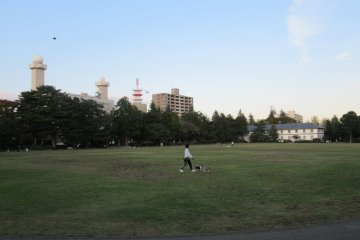 A grassy field