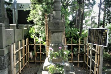 Hattori Hanzo