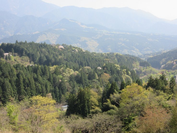 The woods and hills on the way to Hiraizumi