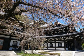 Road Trippin' Japan (Part Two)