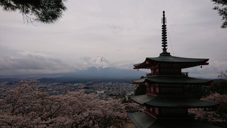 Mount Fuji 