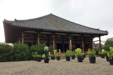 Gango-ji