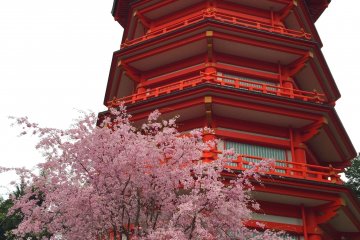 Yamaguchi Kannon
