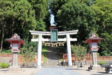 After passing the torii you have to climb 202 stone steps!