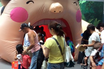 Grossology 2019