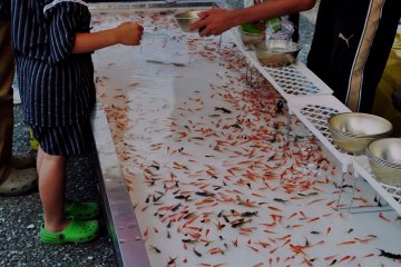 Kids seemed to enjoy this stall the most. Here, people scoop up their favorite fish to take home.