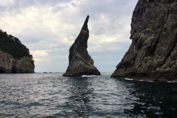 Incredibly Captivating Dogo Island