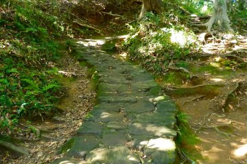 Sometimes the path was slippery