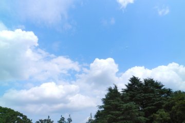 거품을 찾아라!