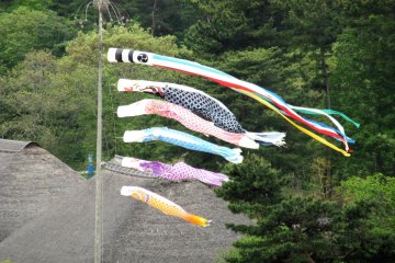 Kodomo-no-hi emblem at Hitachi Seaside Park
